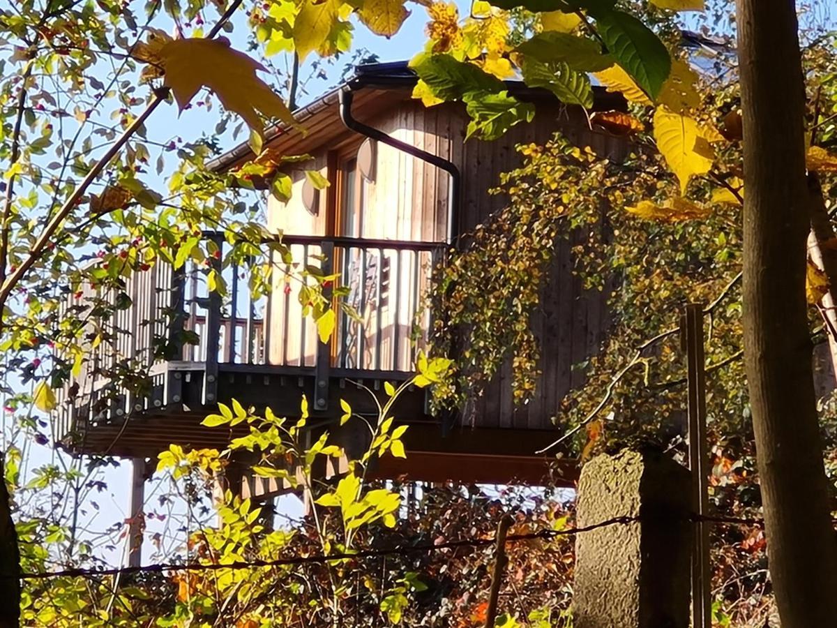 Hotel Waldquelle - Baumhaushotel Aerzen Dış mekan fotoğraf