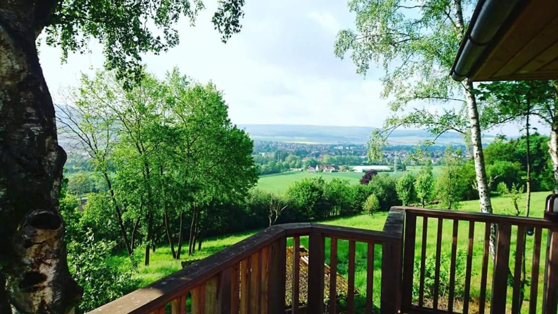 Hotel Waldquelle - Baumhaushotel Aerzen Dış mekan fotoğraf